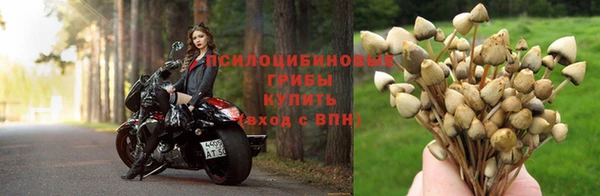 спайс Белоозёрский