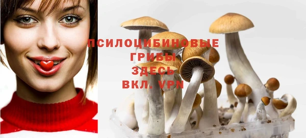 крисы Белокуриха