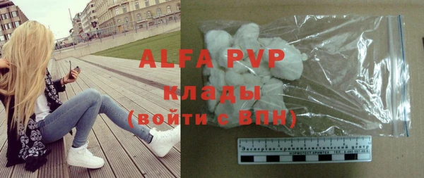 крисы Белокуриха