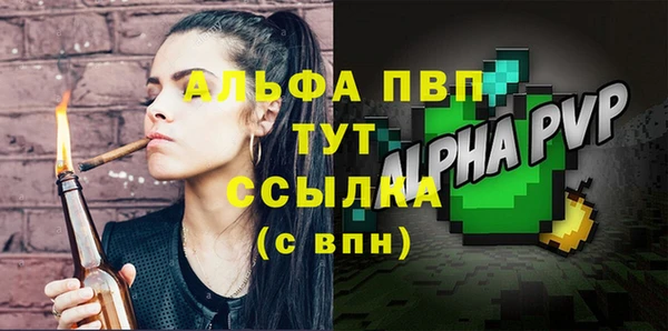 крисы Белокуриха