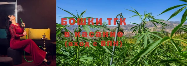 крисы Белокуриха