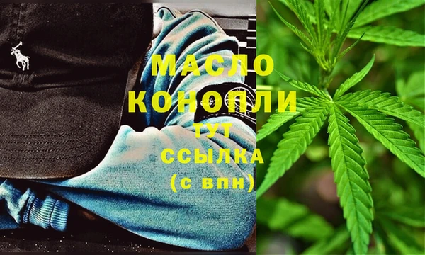 стаф Богданович