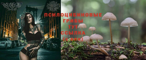 крисы Белокуриха