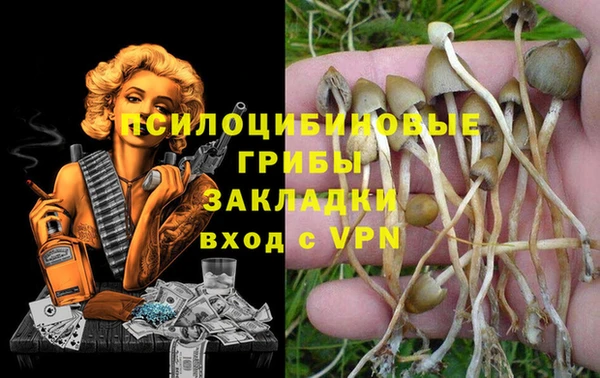 мяу мяу кристалл Богородицк