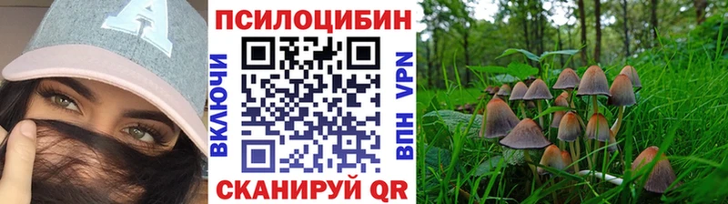 гидра маркетплейс  Свободный  Галлюциногенные грибы Psilocybe 