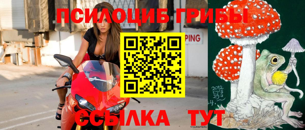 Галлюциногенные грибы GOLDEN TEACHER Свободный