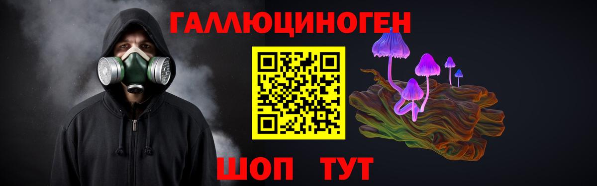 Псилоцибиновые грибы GOLDEN TEACHER  Вход с VPN  Свободный 